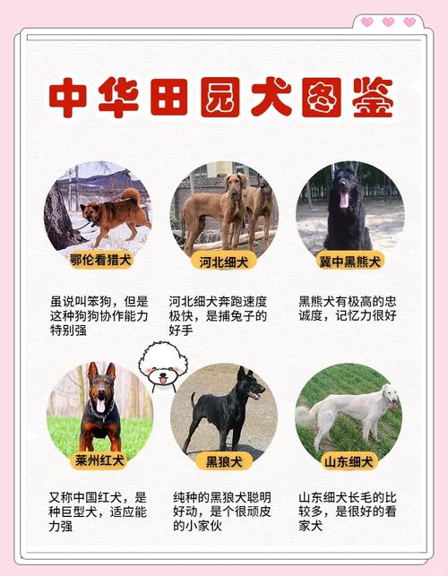 下载中心 第84页