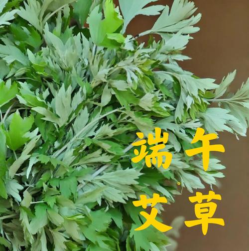 74549.cσm查询开奖记录和年轻人爱上端午挂艾与端午挂艾叶的原因