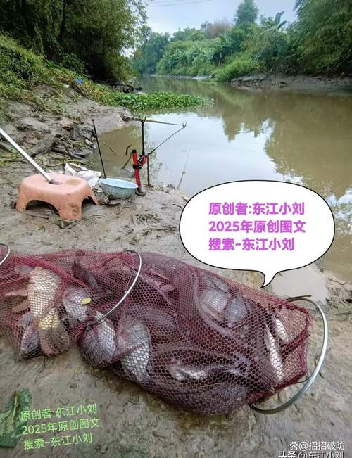 2025新澳门精准正版图库和保护区里的疯狂垂钓与保护区钓鱼怎么处理