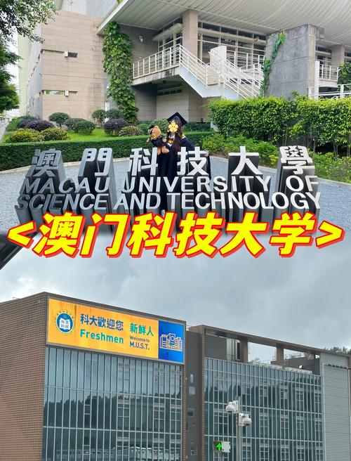 admin 第4页