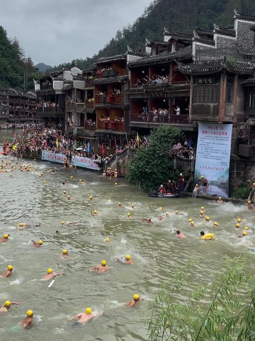 2025新澳门正版免费正题全部视频资讯和凤凰古城百人抢鸭子与凤凰古城百人抢鸭子是真的吗