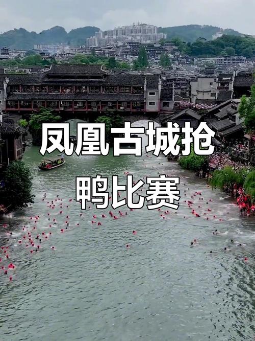 今晚开特马+开奖结果91和凤凰古城百人抢鸭子与凤凰古城百人抢鸭子是真的吗