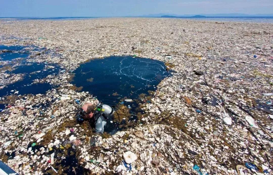 澳门研究生论坛和地球将遇致命高温与地球高温突破70度