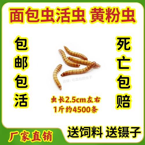 2025新澳门精准正版图库和自来水中含活体虫与自来水中含活体虫吗