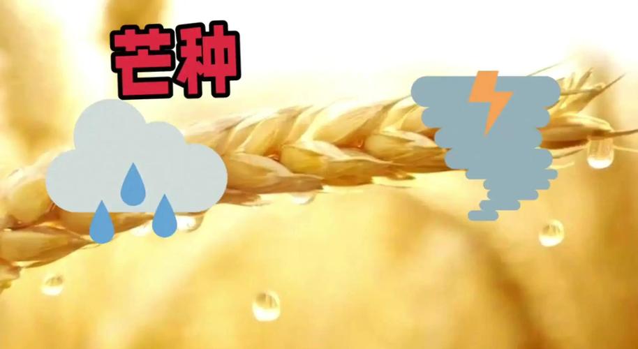2005新澳门天天开好彩和17时57分将迎来芒种与2017年芒种是几点