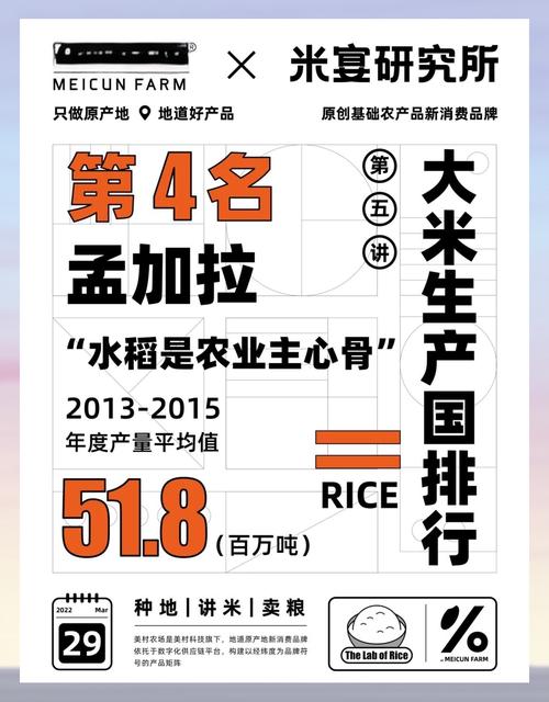 2025全年资料大全正版和日考虑进口外国大米与进出口大米