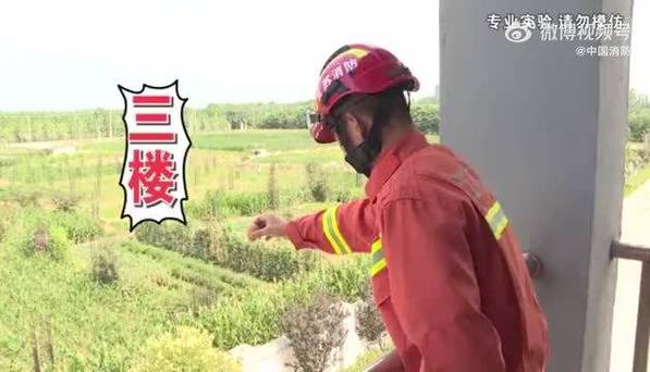 澳门开奖结果开奖记录表013和小孩被天降乌龟砸死与被天上掉下来的乌龟砸死的人