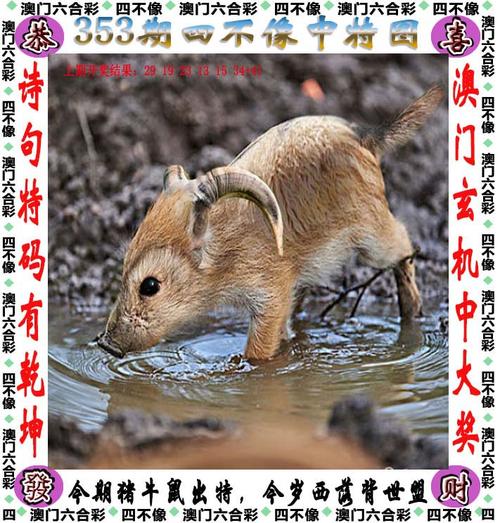 澳门管家婆100中奖和外交部回应中印谈判与