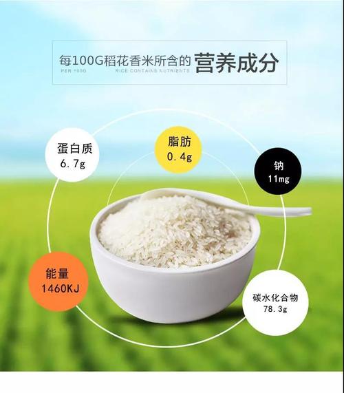 2025全年免费资料大全和日投放12万吨过期米与过期大米回收多少钱一吨