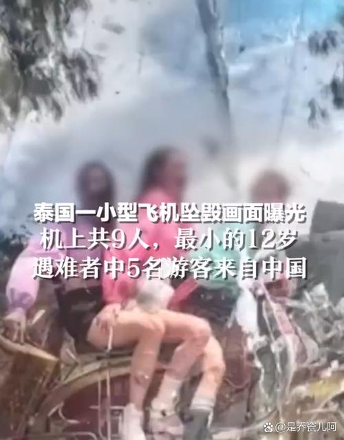新澳今天最新资料大全和印失事客机乘客国籍与飞机失事 印尼