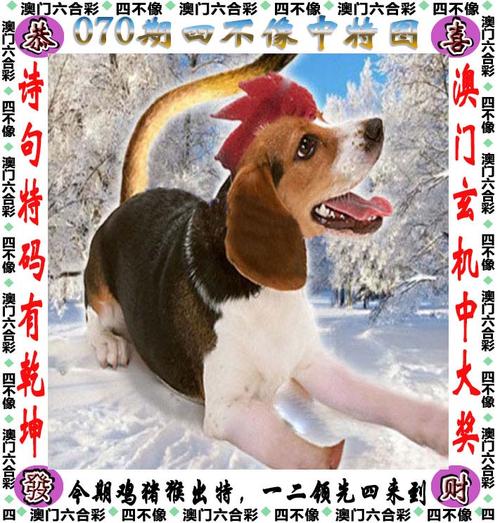 2025澳门資料免費大全和上海一彩民中1035万与上海彩民中奖9700万